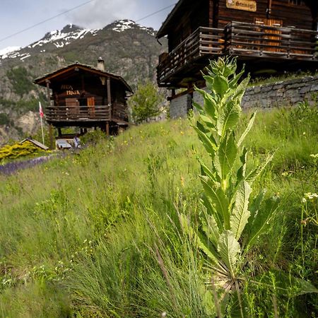 Korn-Stadel Arida Prata "Natur Pur" Grächen Extérieur photo