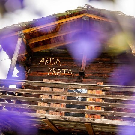 Korn-Stadel Arida Prata "Natur Pur" Grächen Extérieur photo
