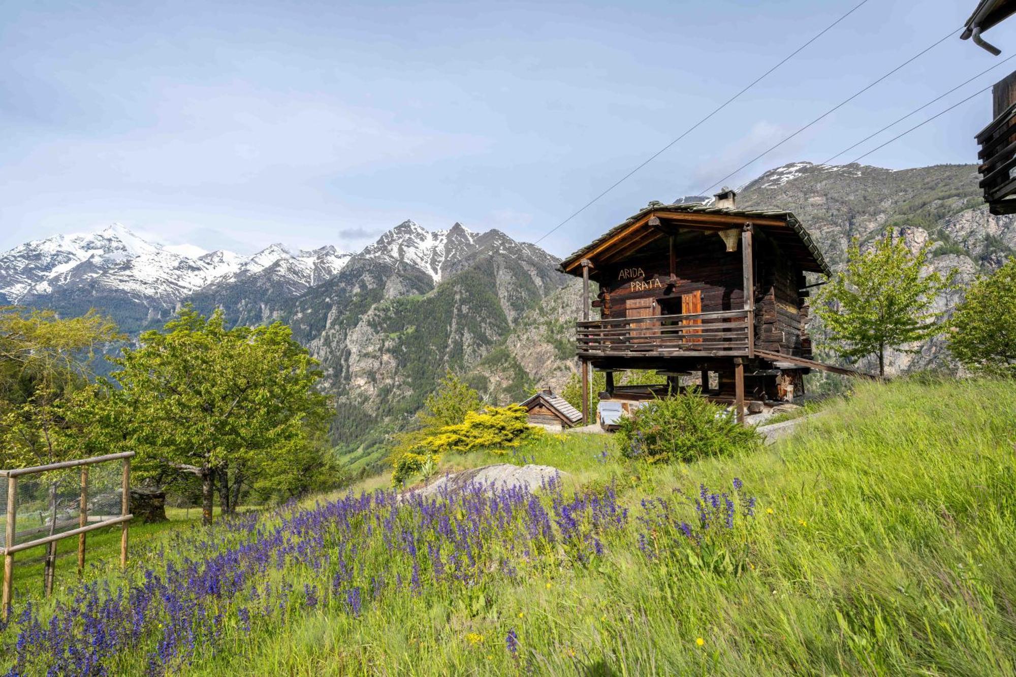 Korn-Stadel Arida Prata "Natur Pur" Grächen Extérieur photo