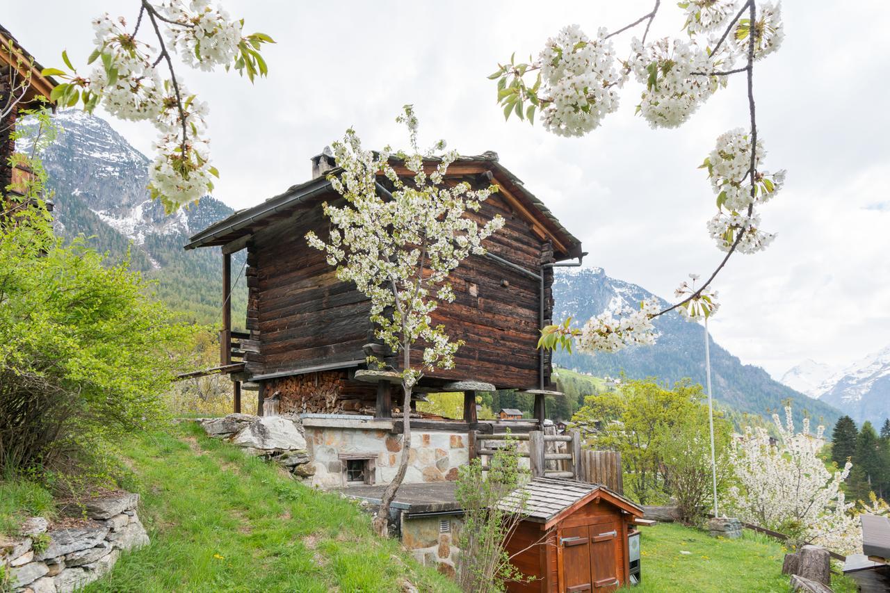 Korn-Stadel Arida Prata "Natur Pur" Grächen Extérieur photo